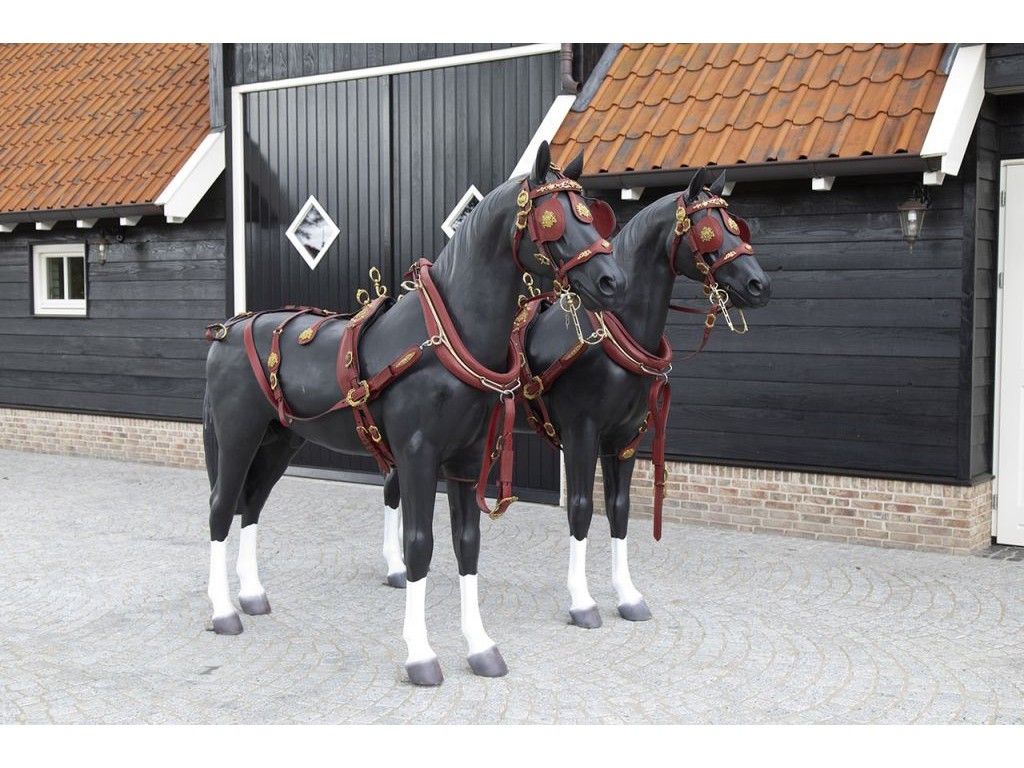 VAN der Wiel Harness Horses