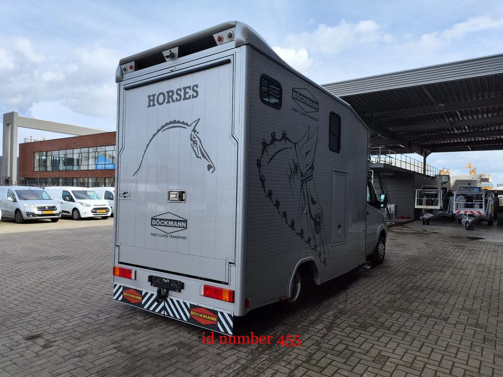 Mercedes-Benz CDI Böckmann Horsetruck 24.500 KM Topcondition!